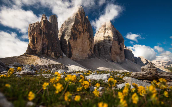 4K Ultra HD view of Tre Cime di Lavaredo cliffs in the Dolomites Alps, framed by yellow summer flowers and a cloudy blue sky.