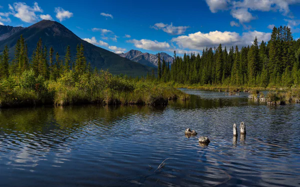 Alberta Canada nature mountain forest lake HD Desktop Wallpaper | Background Image