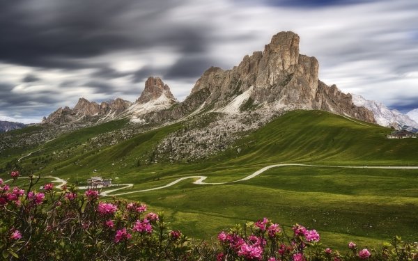 Earth Landscape Summer Flower Mountain Alps Dolomites HD Wallpaper | Background Image