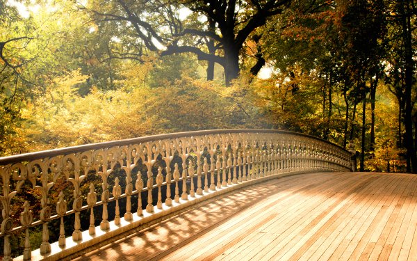 Man Made Bridge Bridges Fall Wood HD Wallpaper | Background Image
