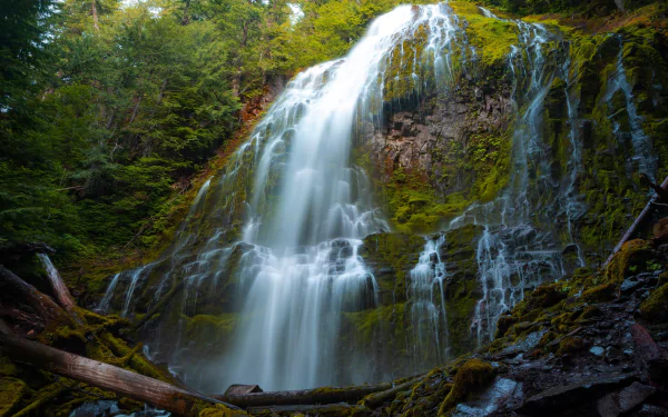 vegetation nature waterfall HD Desktop Wallpaper | Background Image