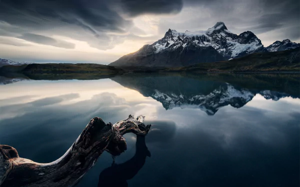 HD PC desktop wallpaper: snow-capped Andes peaks reflected in a glassy mountain lake at dawn, weathered driftwood in the foreground and moody skies over pristine nature.