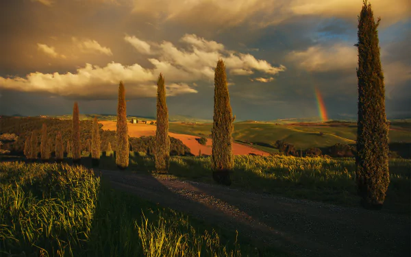 rainbow cypress Italy sunset road photography Tuscany HD Desktop Wallpaper | Background Image