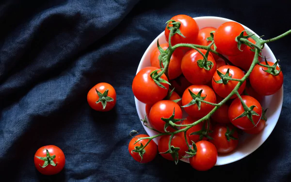 food tomato HD Desktop Wallpaper | Background Image