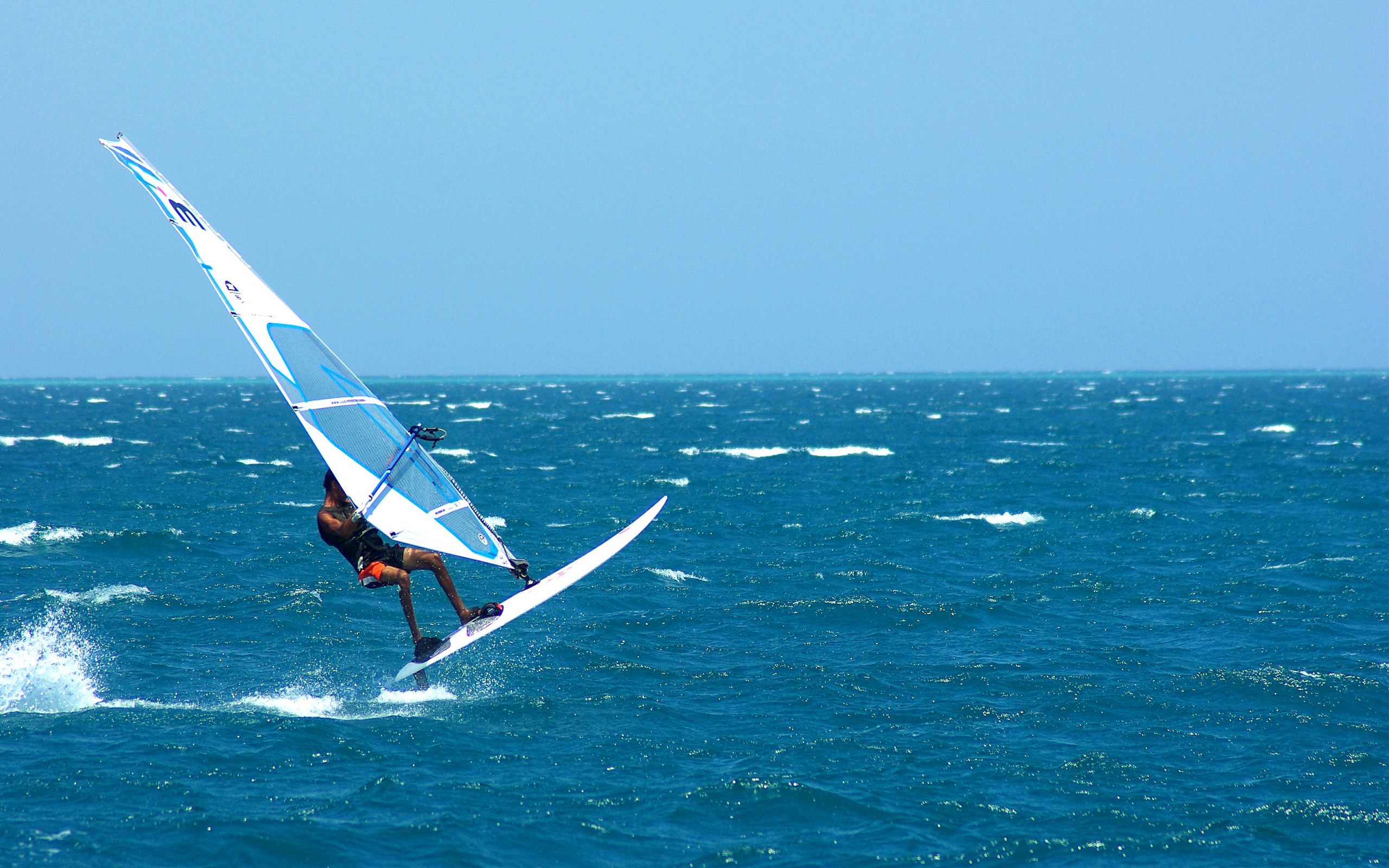 Windsurfer riding a massive wave in a sports-themed desktop wallpaper.