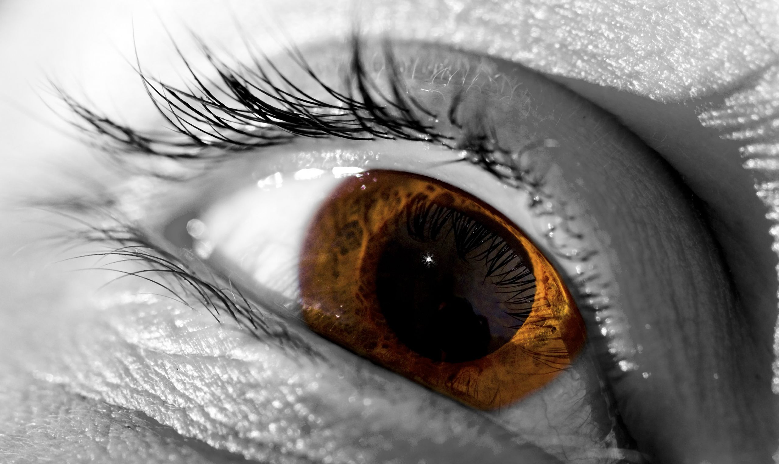 Artistic Eye HD Wallpaper | Background Image | 2558x1524