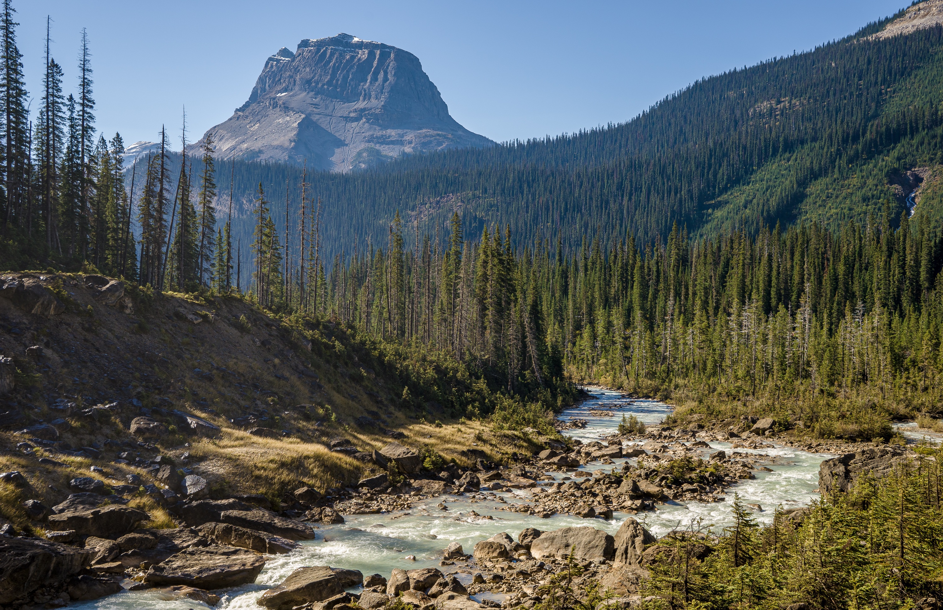 Yoho National Park Wallpapers Emerald Lake Stock Image. Image Of