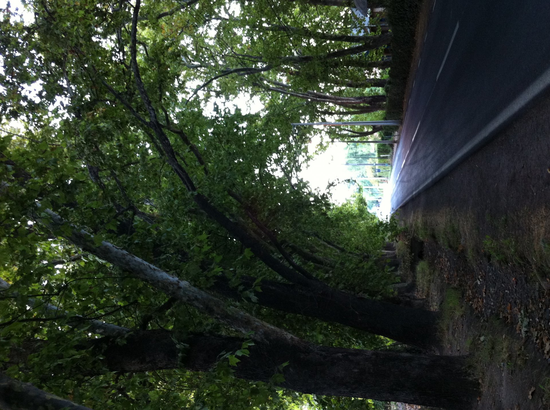 Download Man Made Road HD Wallpaper by IZOKA