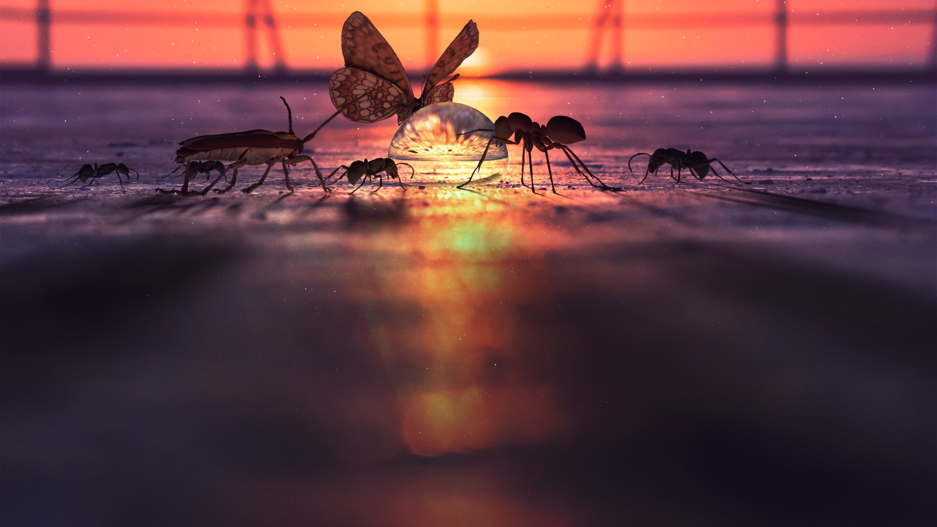 Download Water Animal Insect 4k Ultra HD Wallpaper by Shark90art