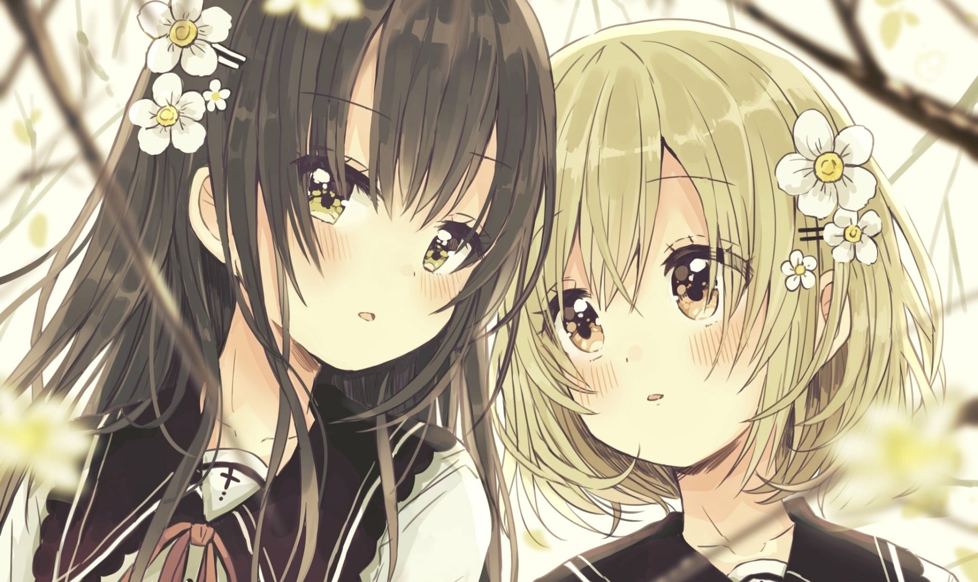Anime original HD PC desktop wallpaper and background: two characters, dark- and light-haired, framed by white blossoms, soft warm lighting and finely detailed eyes.
