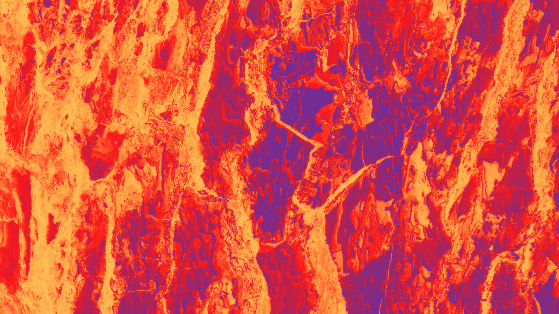 Orange and Yellow, Fire Colors of Autumn, Pop Art Tree Bark by lonewolf6738