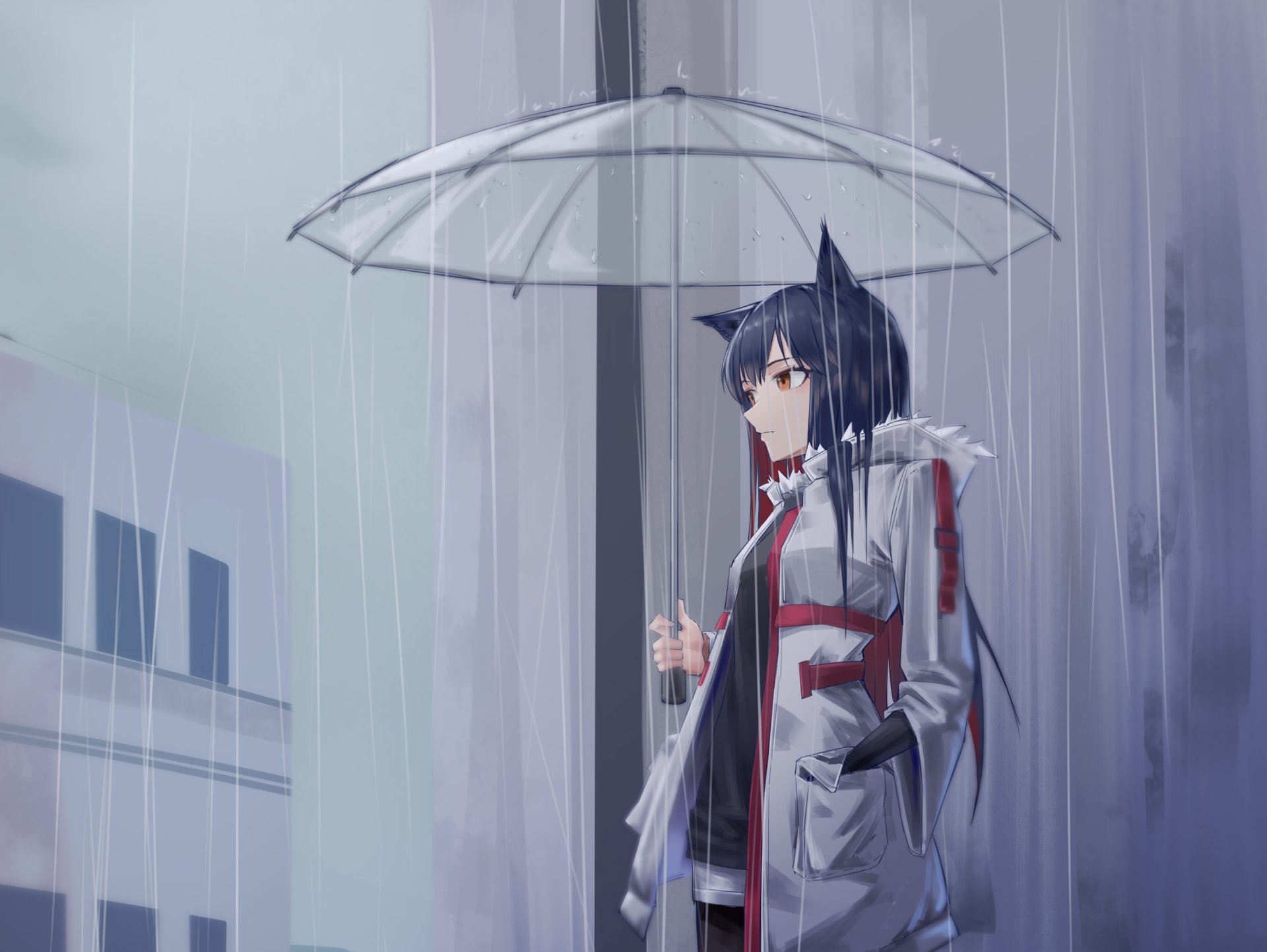 Texas from the video game Arknights stands in the rain holding a transparent umbrella, featuring animal ears and a detailed urban background in this HD PC wallpaper.