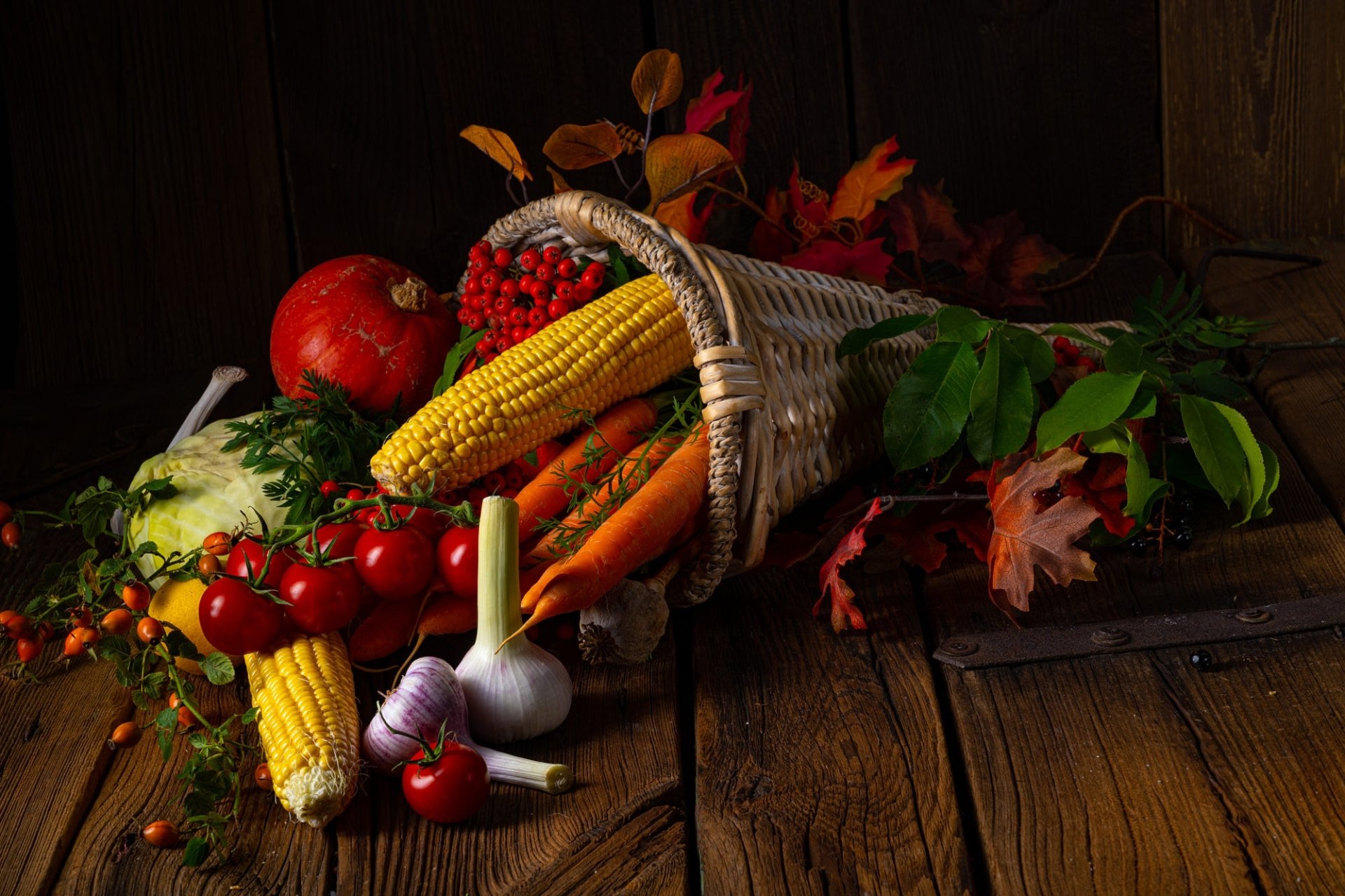 Download Tomato Corn Photography Still Life HD Wallpaper