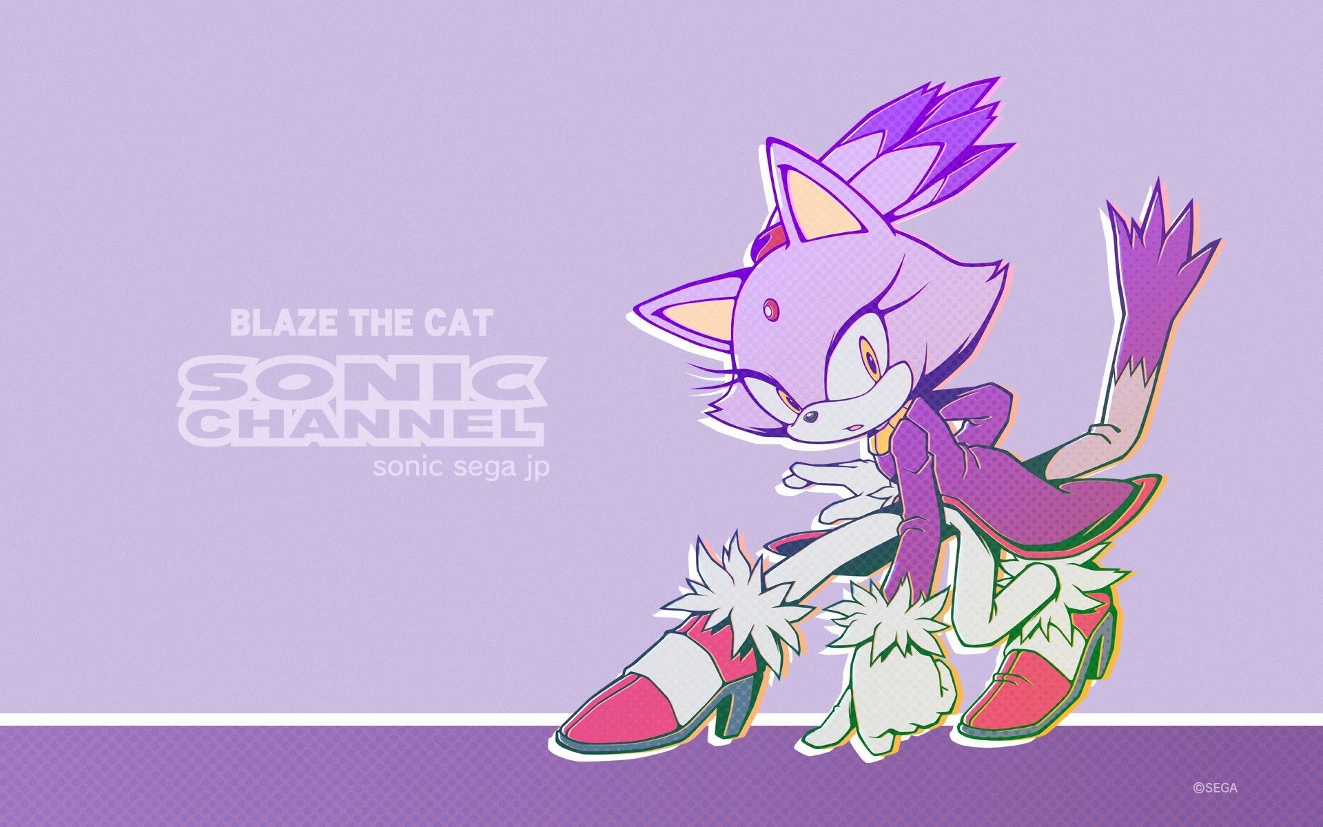 Download Sonic Channel Blaze The Cat Video Game Sonic The Hedgehog HD  Wallpaper