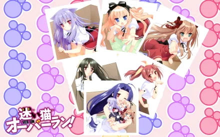 overrun Anime Mayoi Neko Overrun! HD Desktop Wallpaper | Background Image