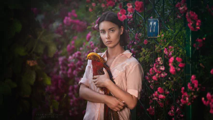 pheasant bird flower woman mood HD Desktop Wallpaper | Background Image