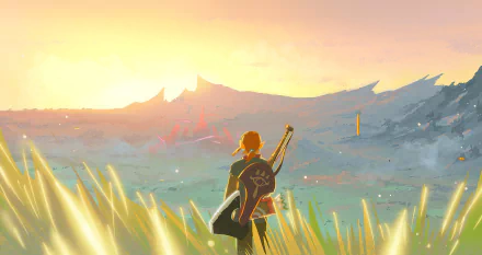 HD PC desktop wallpaper featuring Link from The Legend of Zelda: Breath of the Wild overlooking a vast, sunlit landscape from the video game.