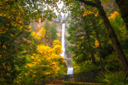 Multnomah Falls Oregon fall nature waterfall HD Desktop Wallpaper | Background Image