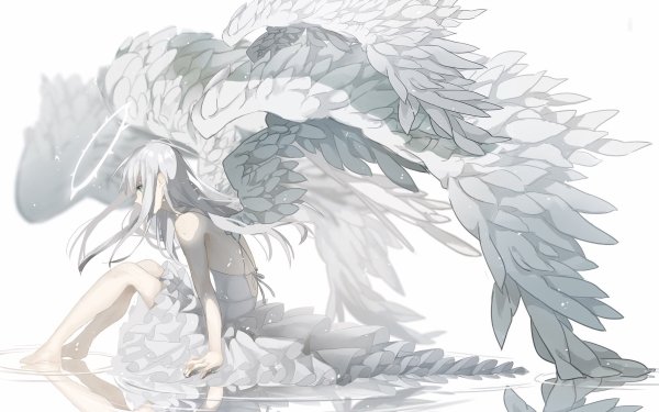 Anime Angel HD Wallpaper | Background Image