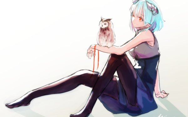 Anime Girl Owl Blue Hair HD Wallpaper | Background Image
