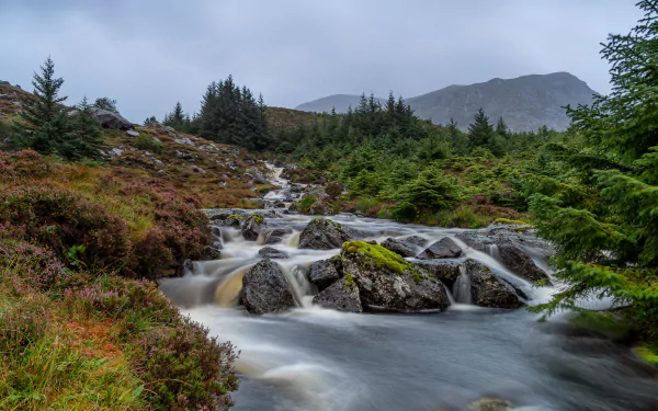 Norway nature stream HD Desktop Wallpaper | Background Image