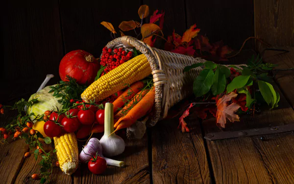 tomato corn photography still life HD Desktop Wallpaper | Background Image