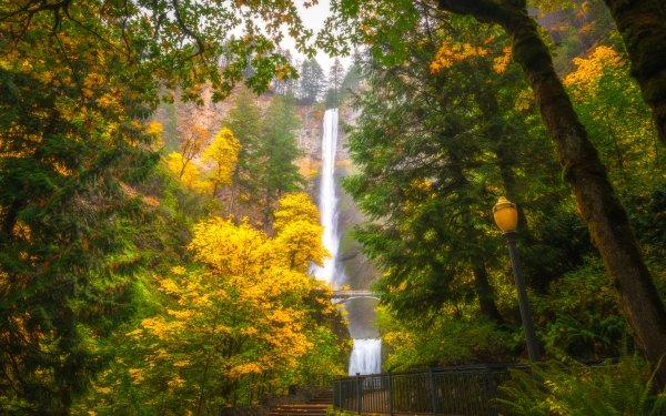 Nature Waterfall Waterfalls Fall Oregon Multnomah Falls HD Wallpaper | Background Image