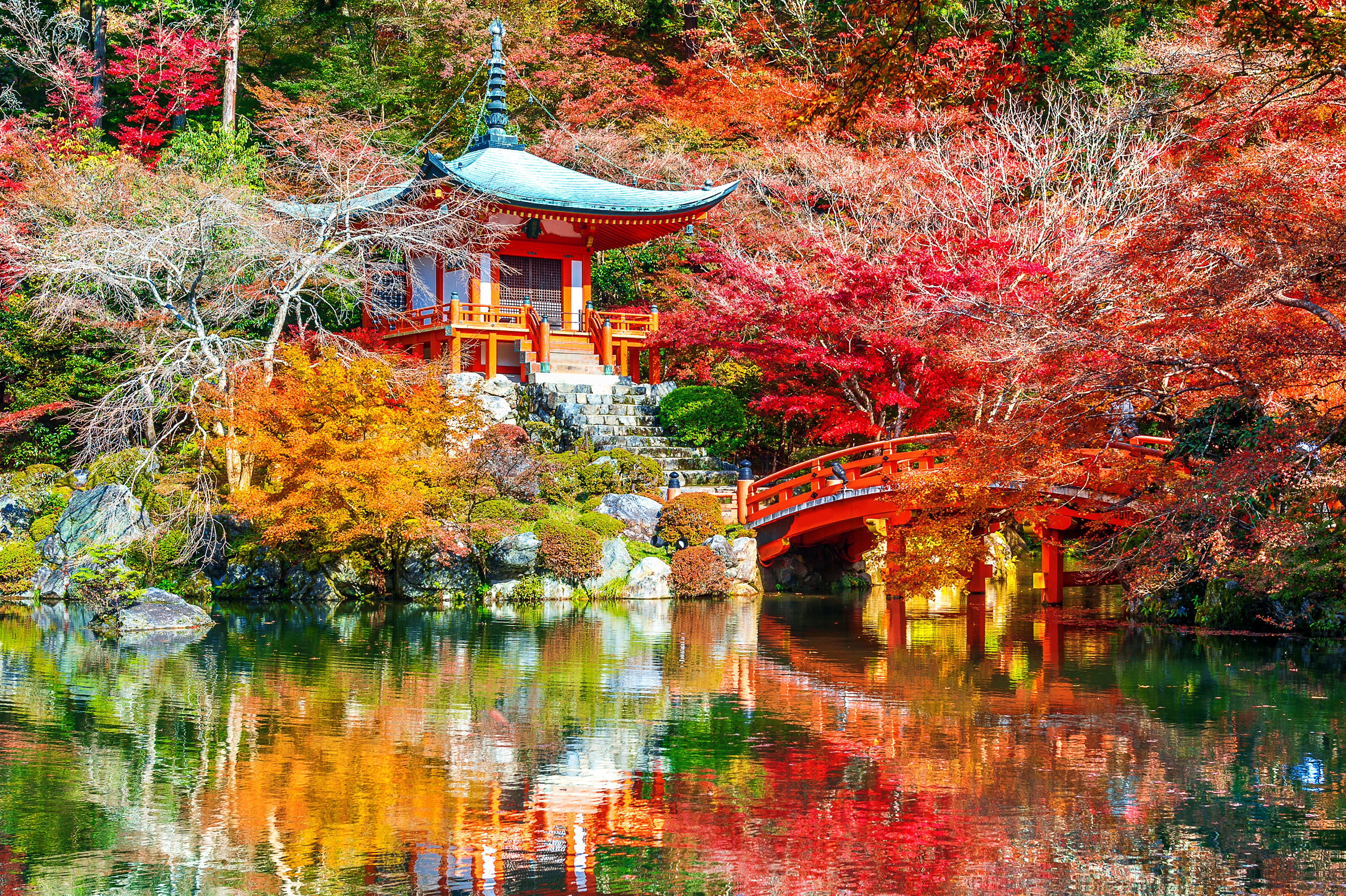 Kyoto 4k Ultra 高清壁纸 桌面背景 4928x3280