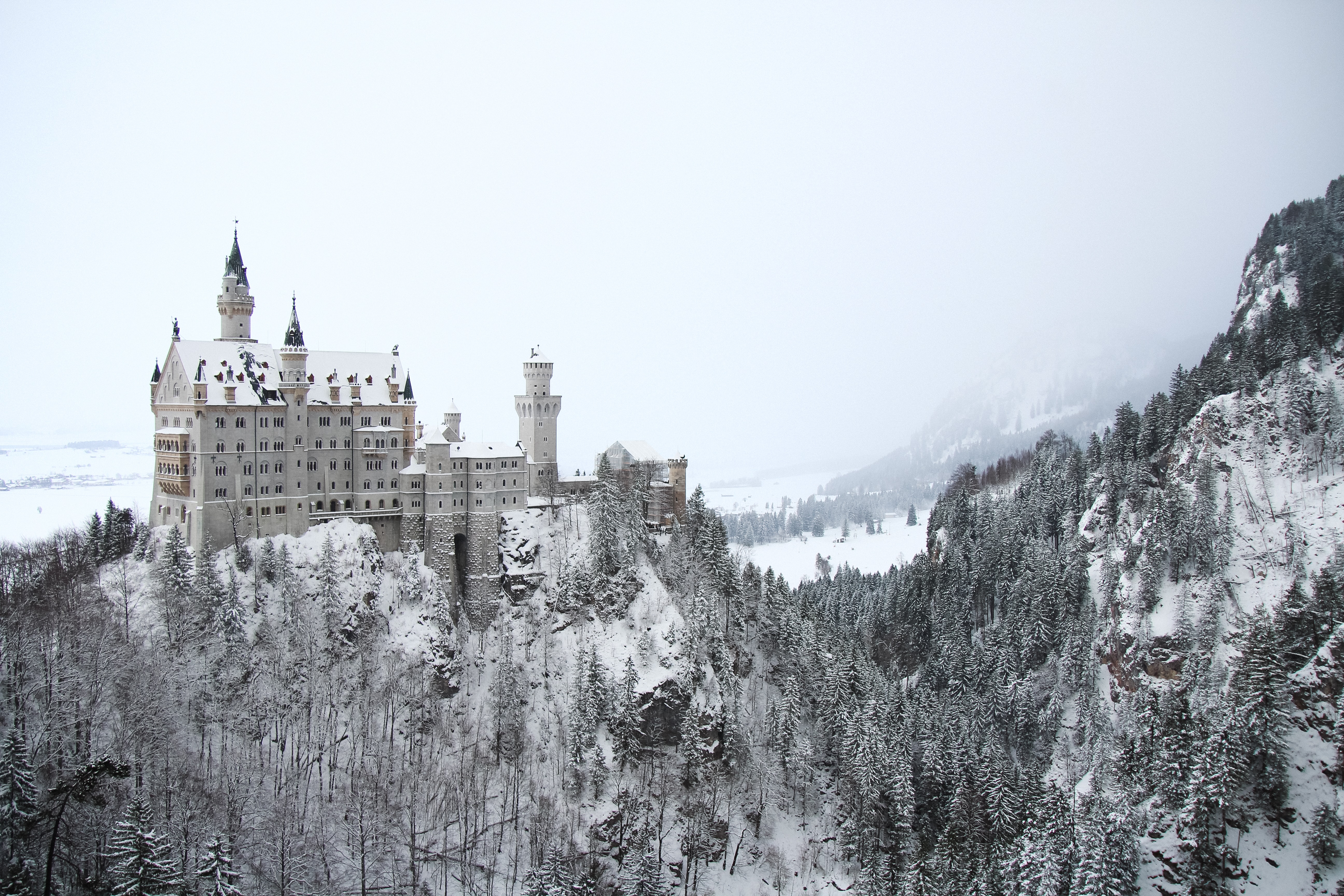 Download Architecture Fir Tree Germany Castle Fog Winter Man Made Neuschwanstein Castle 4k Ultra 