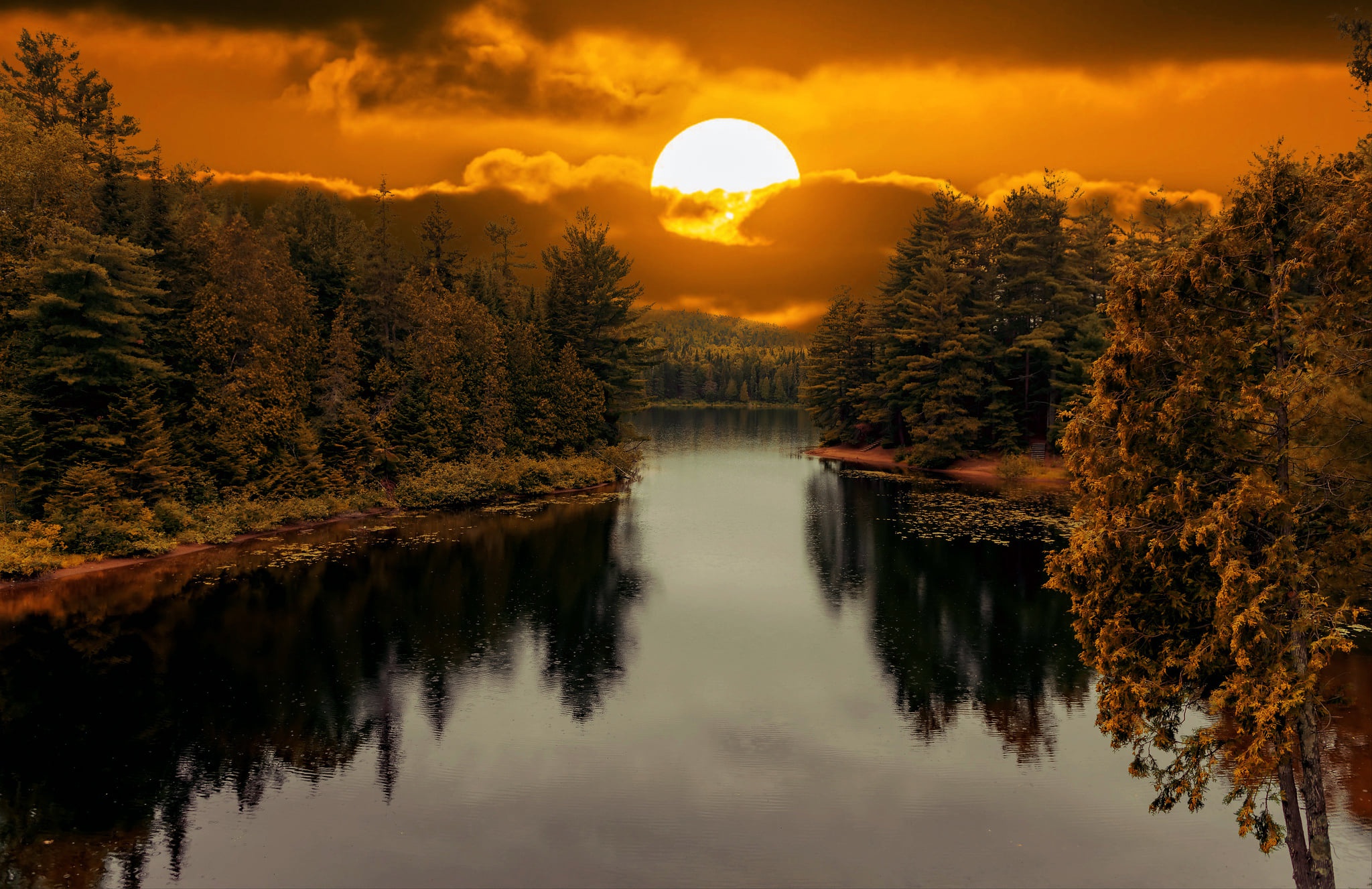 Download Reflection Sun Forest Nature Sunset HD Wallpaper