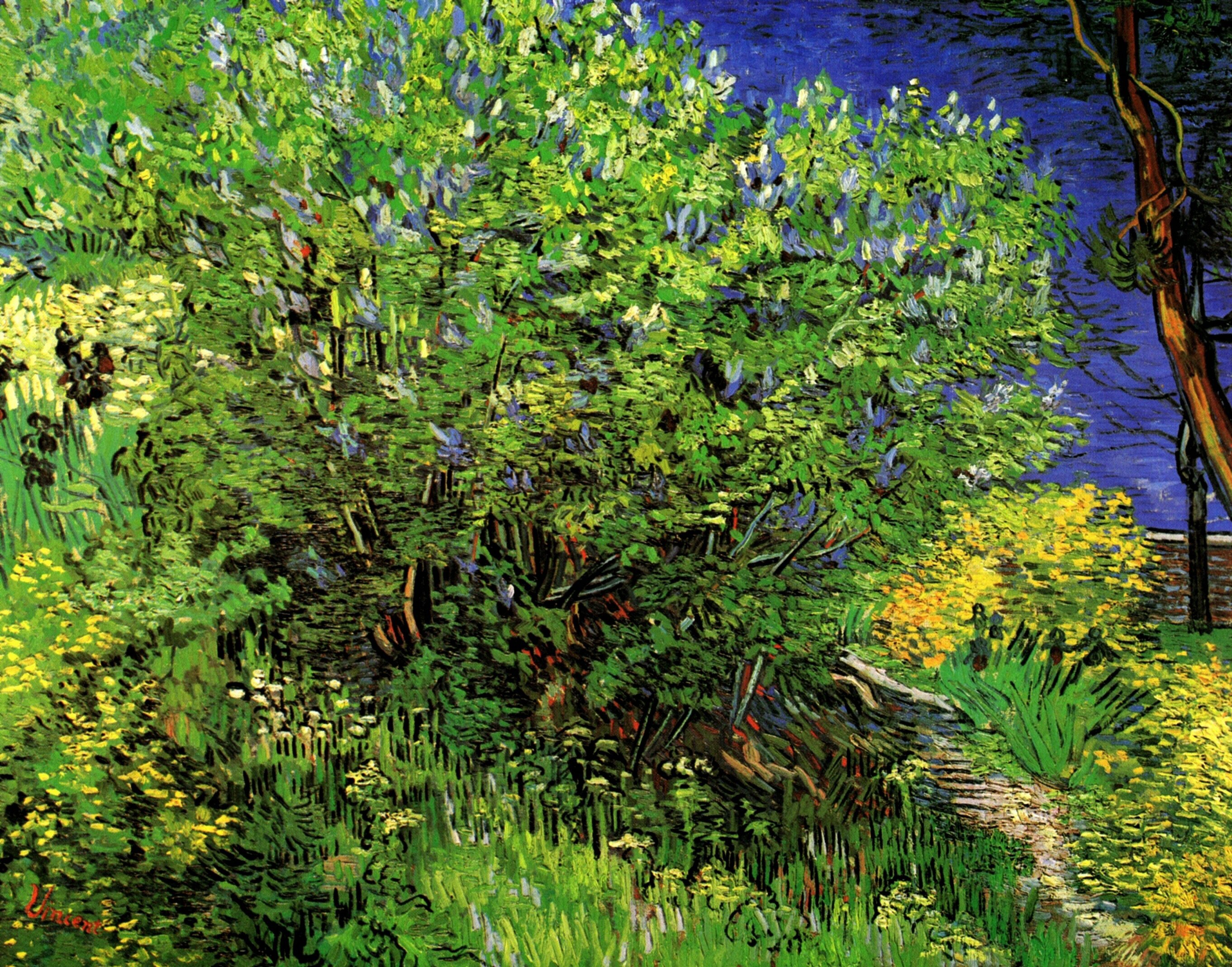 Lilacs by Vincent Van Gogh
