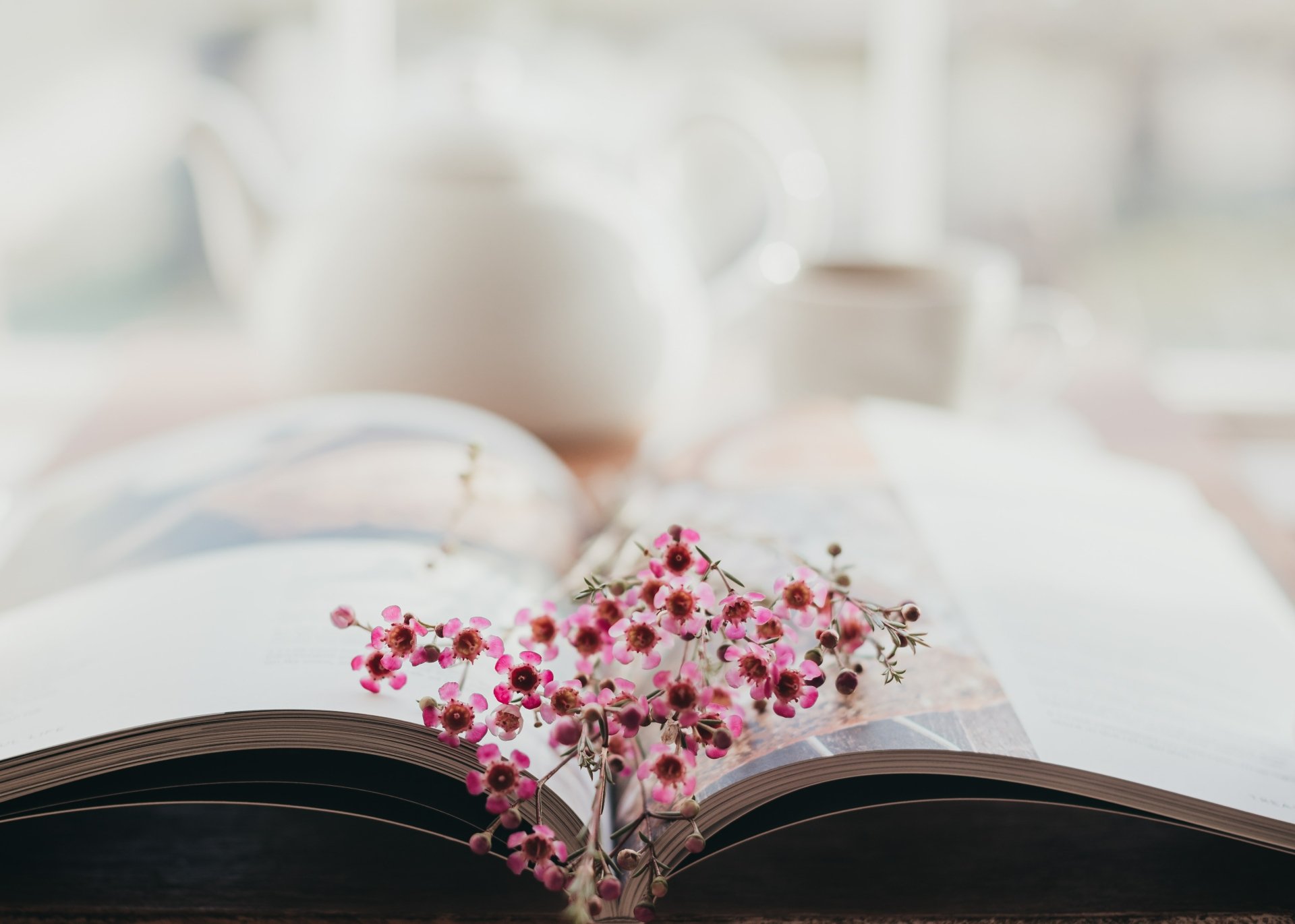 Download Flower Book Photography Still Life 4k Ultra HD Wallpaper by Carolyn V