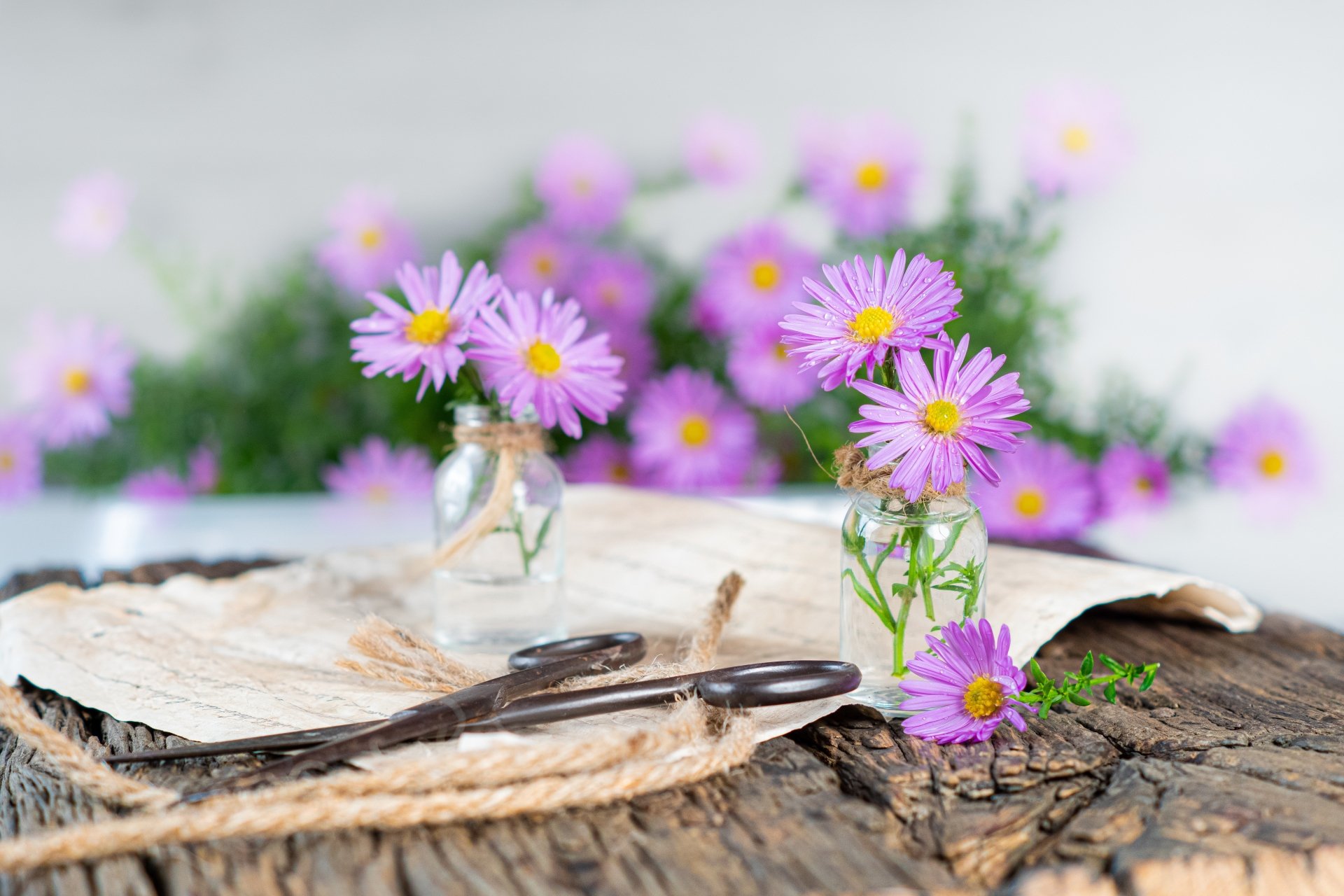 Download Daisy Scissors Bouquet Jar Man Made Flower 4k Ultra HD Wallpaper