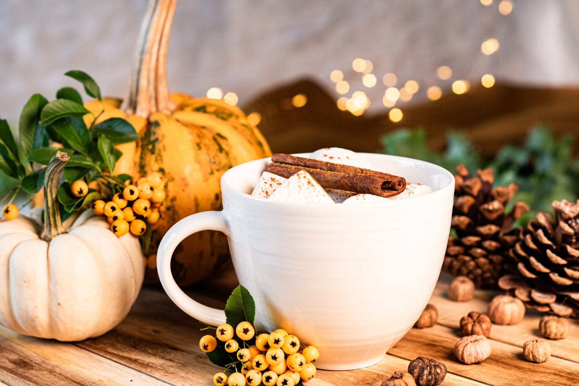 Download Pumpkin Cup Cinnamon Marshmallow Food Hot Chocolate 4k Ultra ...