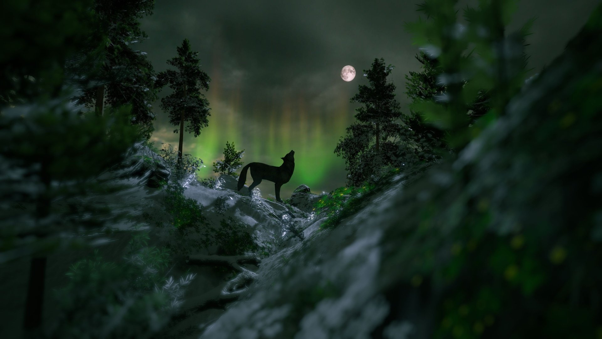 4K Ultra HD wallpaper of a wolf silhouetted against a full moon and vibrant aurora borealis in a fir tree forest at night.