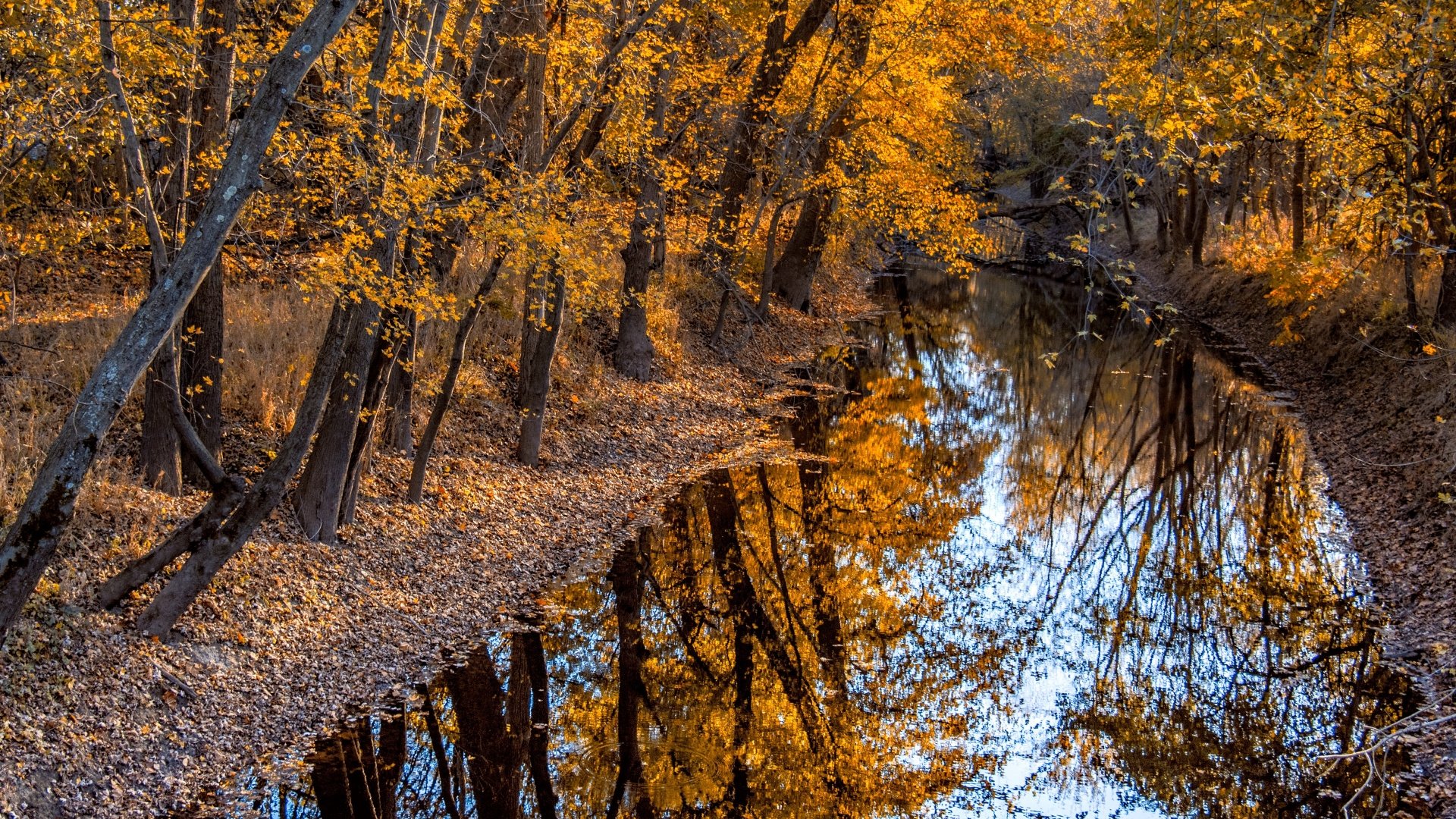 4K Ultra HD PC desktop wallpaper: autumn river in nature, golden trees and fall foliage mirrored in calm water.