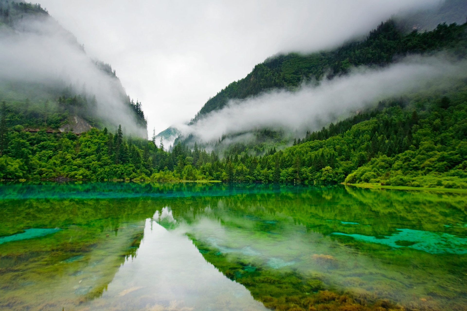 A scenic HD wallpaper of a serene mountain landscape with fog drifting over a lush forest and a clear lagoon reflecting the greenery and mist.