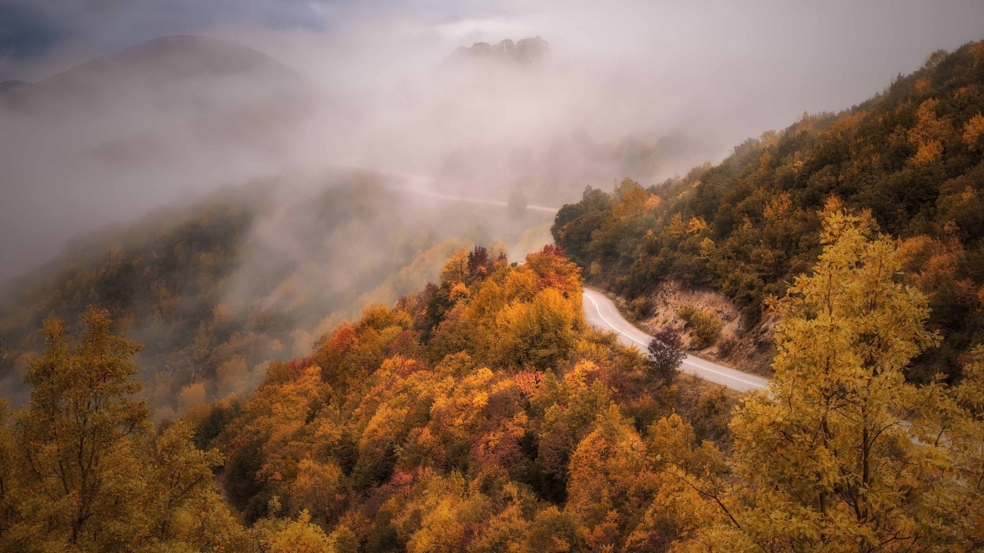 Download Fog Mountain Forest Road Photography Fall 4k Ultra HD ...