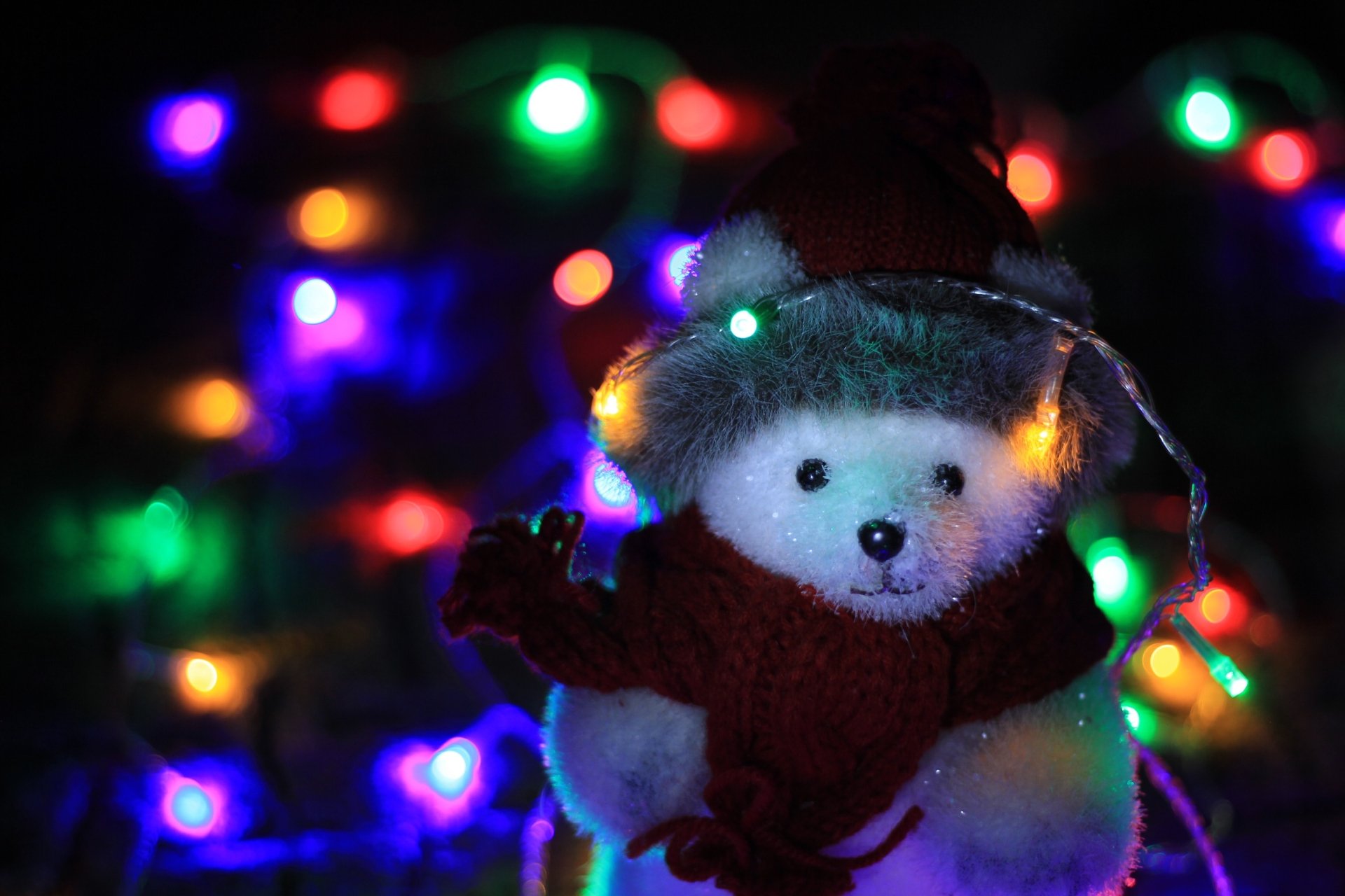 White teddy bear in a red hat and sweater wrapped in colorful Christmas lights, festive holiday Christmas scene — 2K Quad HD PC desktop wallpaper background.