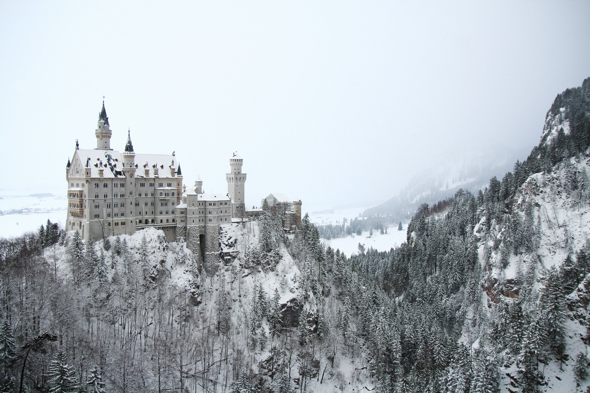 Neuschwanstein Castle in Germany surrounded by snow-covered fir trees and fog, captured in a crisp winter scene with 4K Ultra HD detail.
