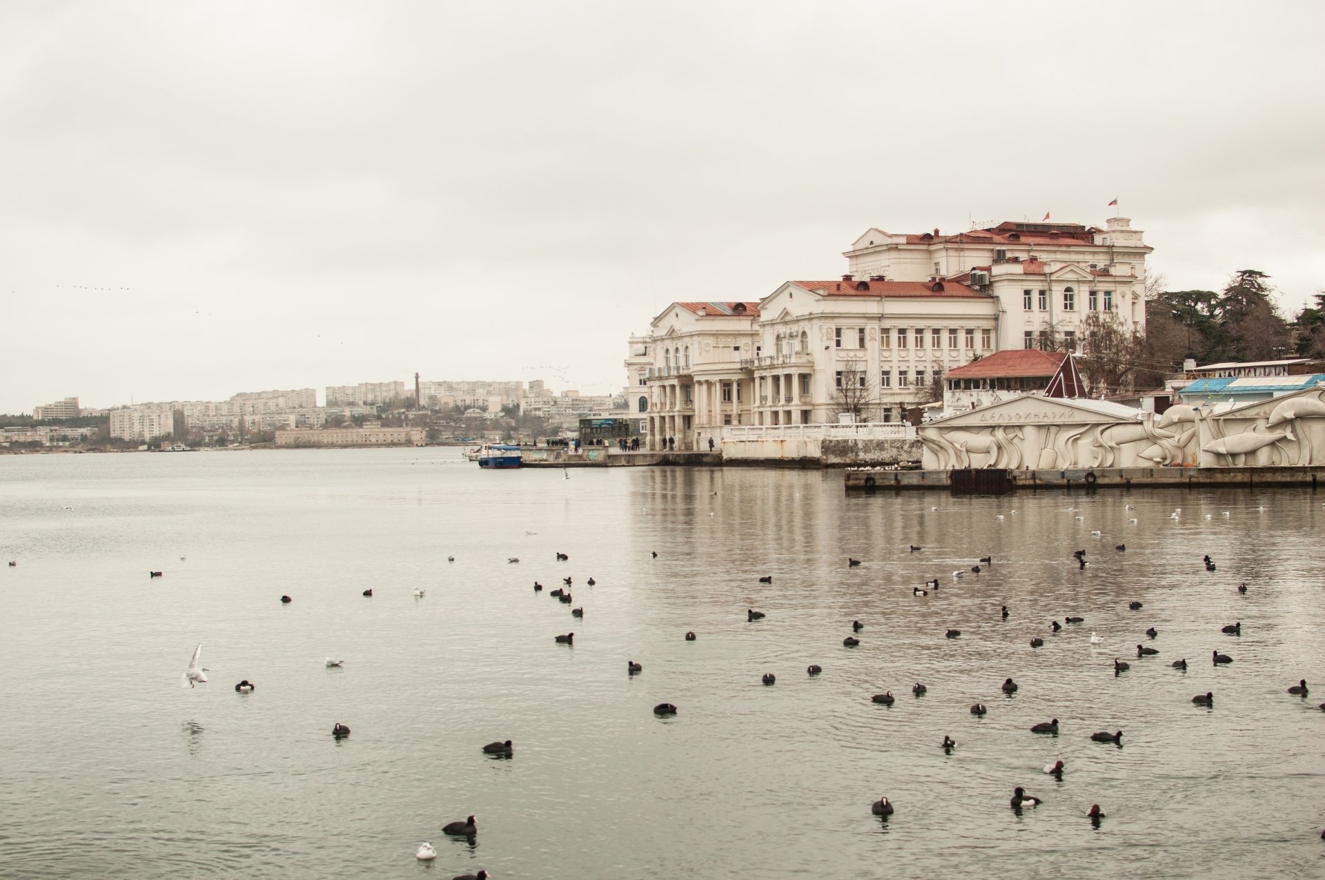 Download Russia Sevastopol Crimea Sea Man Made City 4k Ultra HD Wallpaper