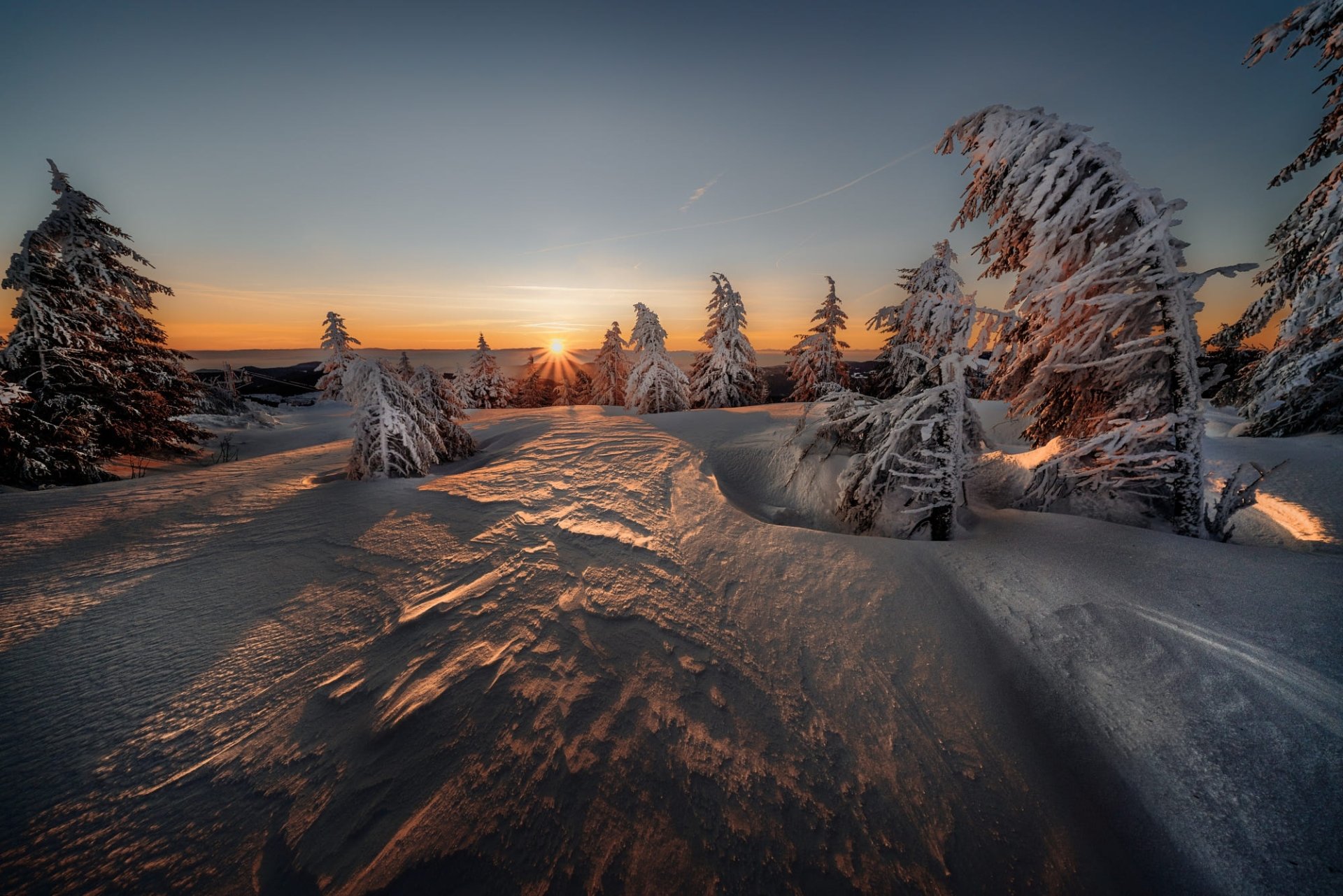 Download Sunset Spruce Nature Snow Winter HD Wallpaper