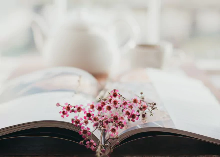 flower book photography still life HD Desktop Wallpaper | Background Image