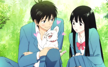 HD PC desktop wallpaper from Kimi ni Todoke showing Sawako Kuronuma and a smiling classmate sitting in green foliage as he offers a fluffy cat with pink hearts.