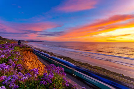 motion blur train pacific ocean California coast ocean flower sunset photography coastline HD Desktop Wallpaper | Background Image