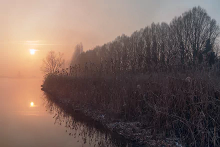 reed lake fall nature fog HD Desktop Wallpaper | Background Image