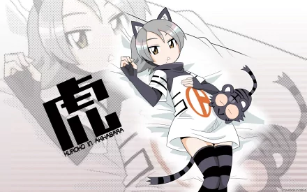Comic Toranoana cat girl Anime Original HD Desktop Wallpaper | Background Image