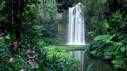 Lush jungle thicket surrounds a serene waterfall cascading into a calm pool, vibrant green foliage and pink flowers create a tranquil nature scene in this HD desktop wallpaper.