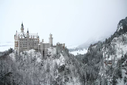 Neuschwanstein Castle in Germany surrounded by snow-covered fir trees and fog, captured in a crisp winter scene with 4K Ultra HD detail.