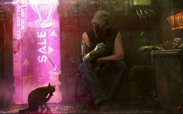 Sci Fi Cyberpunk Cyborg Cat HD Wallpaper | Background Image